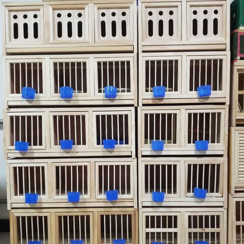 鴿子籠養殖籠鴿舍木質巢箱配對籠信鴿賽鴿賽飛鴿具用品支持訂做