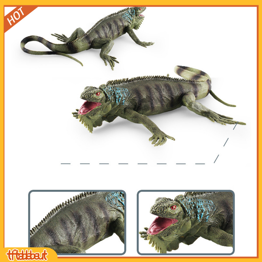 Tf*爬蟲雕像模型仿真可愛蜥蜴變色龍鬍鬚龍實體模型擺件pvc爬蟲兩棲公仔擺件益智玩具
