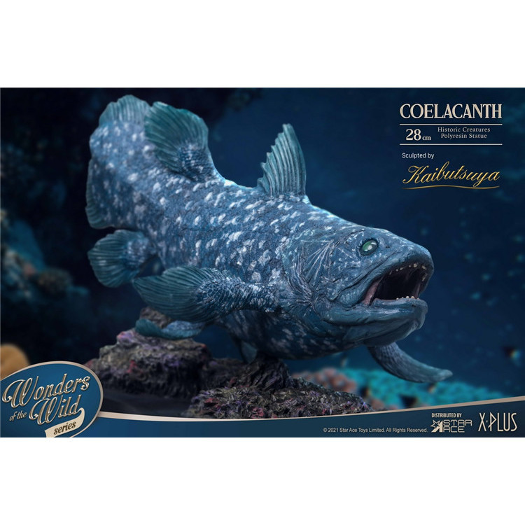 【收藏精品】Star Ace Toys 28cm Coelacanth SA5005腔棘魚 06DX版 07化石現貨