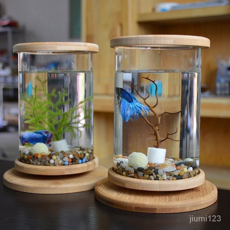 【In stock】桌面生態瓶創意辦公室強化玻璃微景缸 旋轉臥室迷你小型魚缸 鬥魚缸 EZJU
