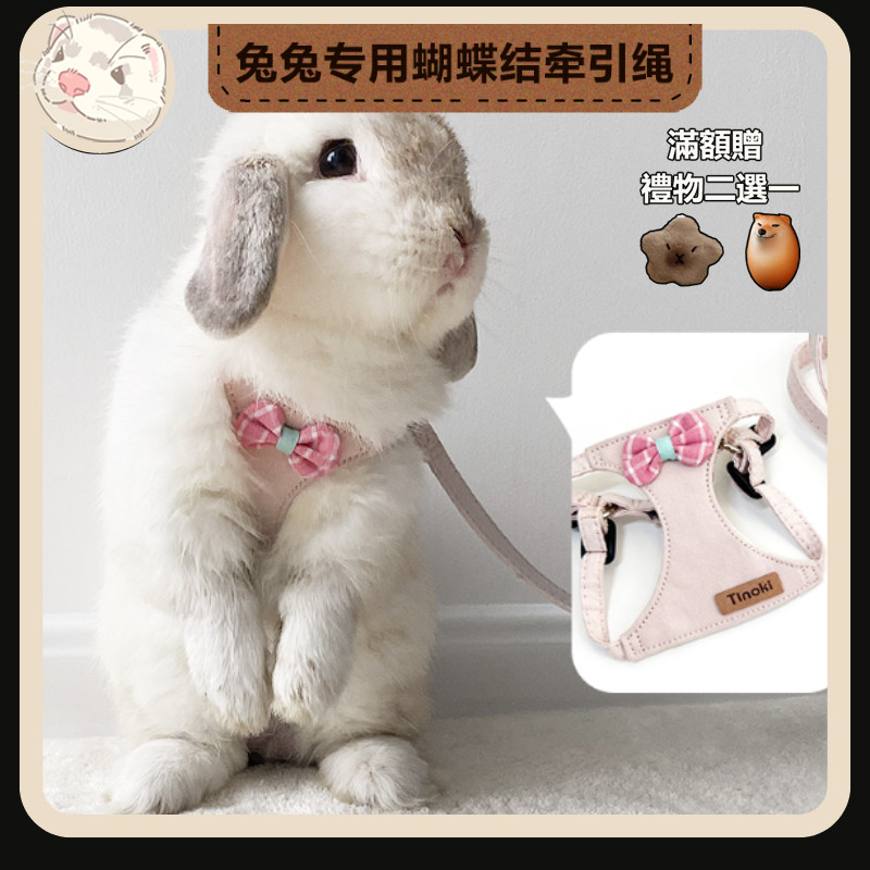 【貂】兔子牽引繩 防掙脫 可調整 大小溜兔繩 遛兔子 兔兔外出繩背心式 兔衣服 小寵服飾