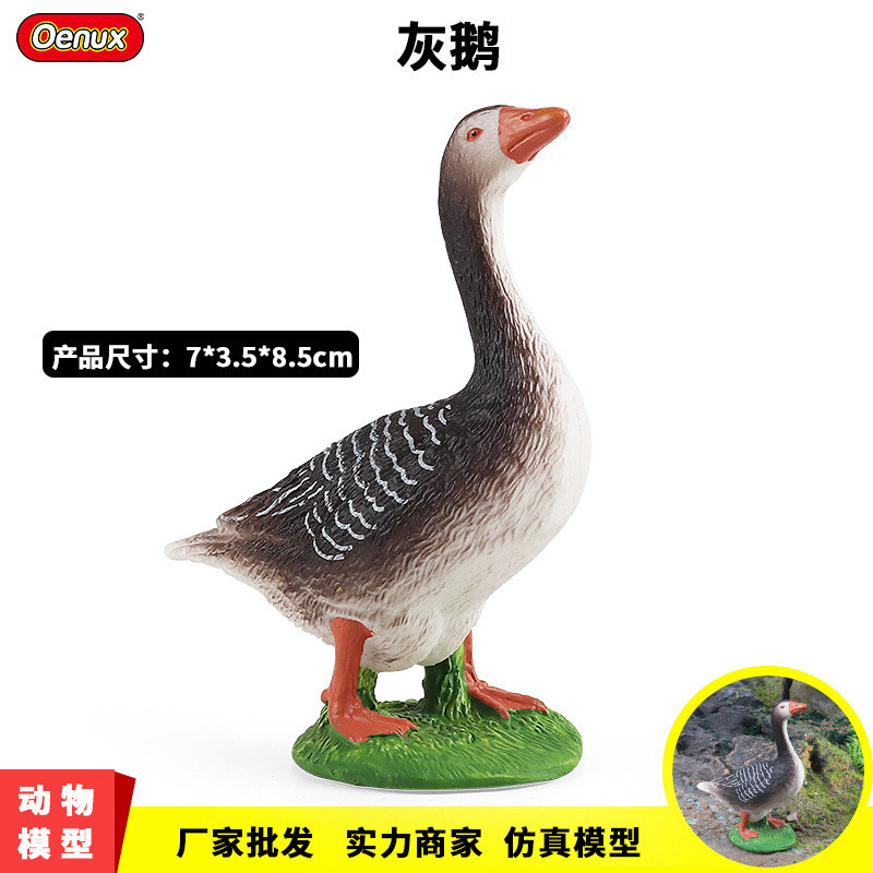 仿真雞鴨鵝動物模型農場家禽牧場鵝兒童認知實心塑膠玩具沙盤擺件