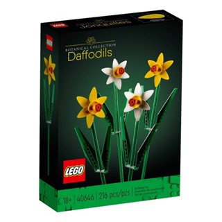 請先看內文 LEGO 樂高 Icons 系列 40646 水仙 Daffodils