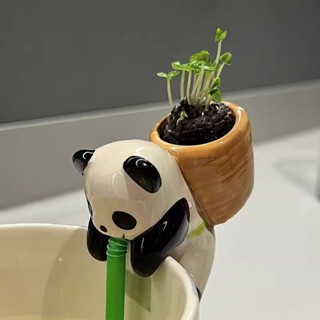渴渴吸里微景觀小盆栽 綠植 辦公室擺件 迷你趴趴熊貓吸管綠植種植草