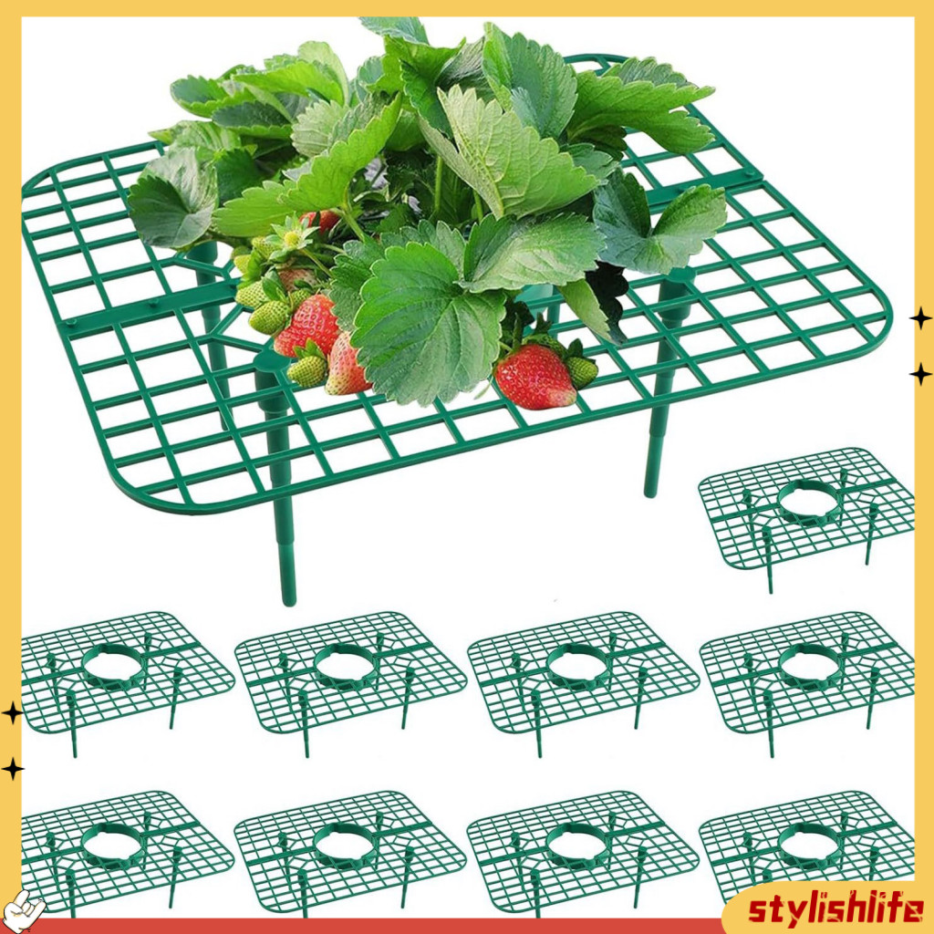 [時尚生活] 草莓植物架水果支撐架 10 件裝草莓植物支撐架,便於水果種植,透氣設計簡單安裝東南亞買家