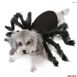 萬聖節狗貓蜘蛛服裝寵物派對服裝適合小型犬貓