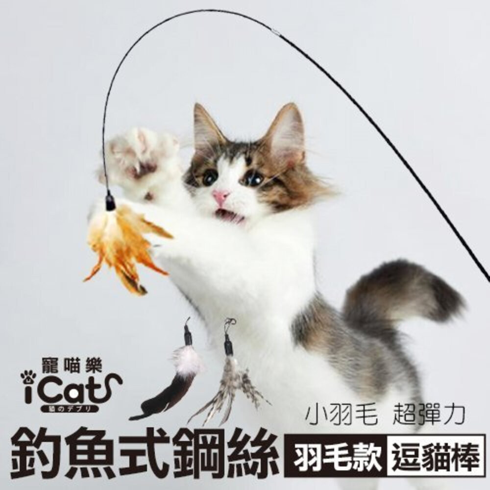 icat 寵喵樂 釣魚式鋼絲逗貓棒 羽毛款(羽毛隨機) 神奇生動貓玩具 逗貓棒『WANG』