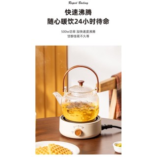 [新品熱賣]新款110V花茶壺電熱爐多功能電熱燒水煮茶爐迷你小型電熱爐煮茶器茶爐