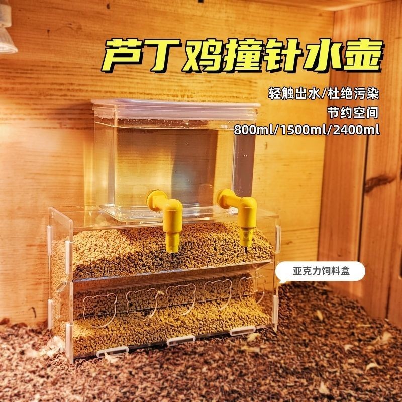 盧丁雞撞針飲水器 網格平台置物架鳥類鸚鵡寵物用品水壺飼料盒造景