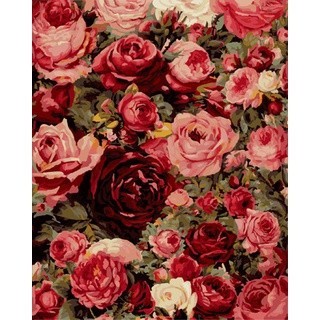 40*50cm 手工繪畫彩色玫瑰按數字Diy數字油畫丙山水畫客廳房間裝飾美術創作