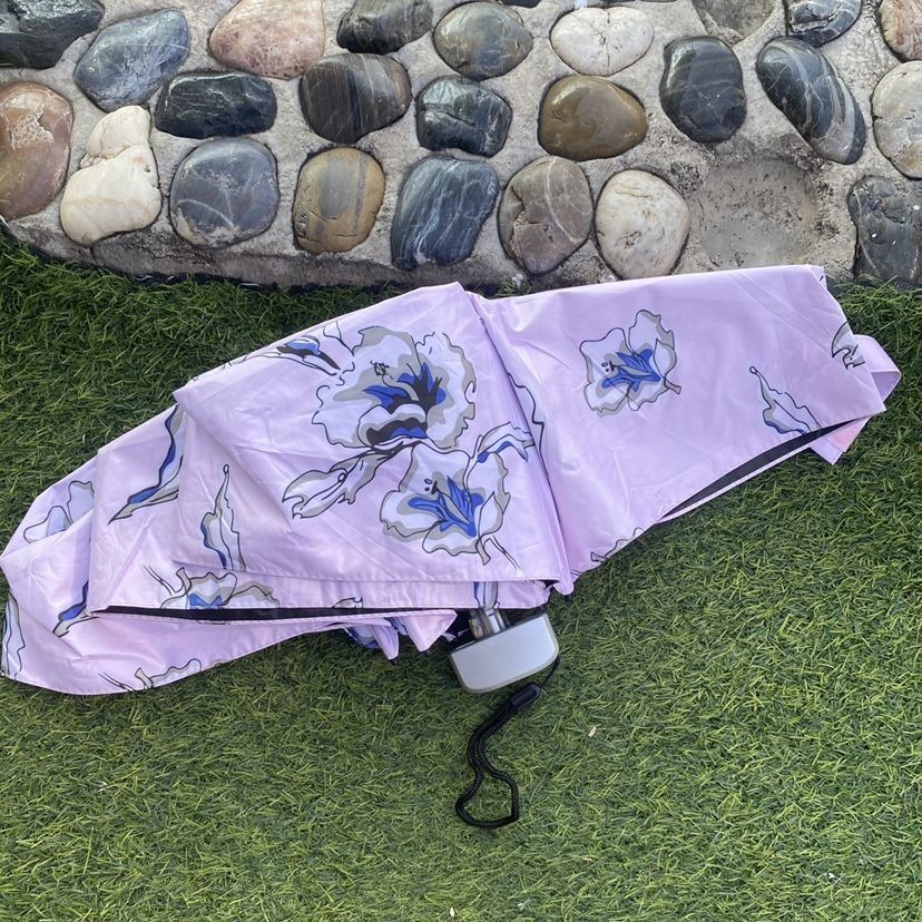 【新品雨傘】新款 小清新超扁五折迷你黑膠摺疊女士太陽傘 便攜輕量學生收納傘遮陽傘 摺疊傘 防晒雨傘