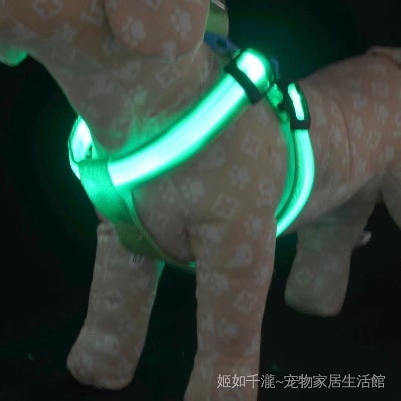 狗狗牽引繩背心式LED發光胸背泰迪牽引繩寵物夜光狗繩小型USB充電