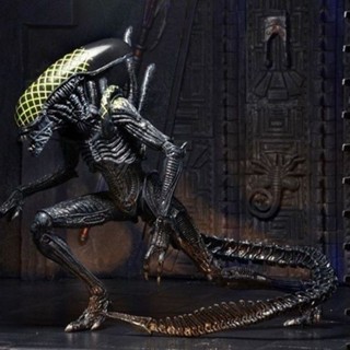 NECA模型 7波AVP異形 契約 Alien。鐵血7寸高可動手辦