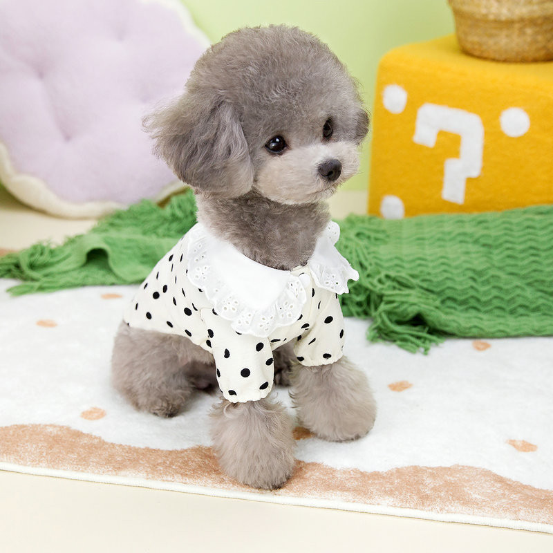 花邊娃娃領可愛波點圓點寵物T恤 新款春夏季薄款狗狗小型犬衣服 泰迪比熊兩腳衣