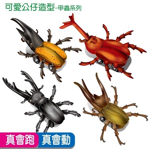 【岳市集】 獨角仙 長戟 鍬形蟲 南洋大兜蟲---甲蟲 DIY材料包 益智 玩具 禮贈品