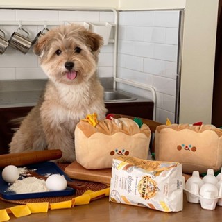 ✨新品熱銷✨INS韓國BM寵物用品狗狗嗅聞墊玩具慢食寵物玩具狗狗麵包藏食玩具