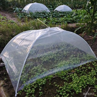 ✨臺灣出貨#保溫蔬菜防雨遮陽防蟲加厚防曬保暖農用定製防寒陽臺傢用塑膠佈
