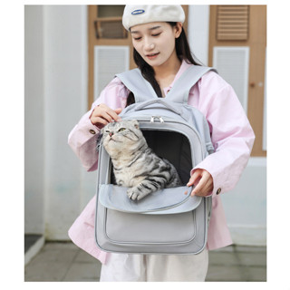 【PetBaby寵物精靈】大容量透氣小貓攜帶揹包戶外散步貓咪四季透視輕便寵物包貓貓用品大容量側開貓包