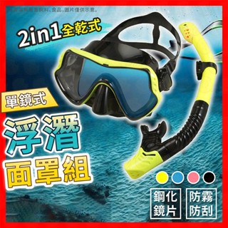 浮潛面罩 全乾式 潛水面罩 潛水鏡 呼吸管 蛙鏡 面鏡 泳鏡 浮潛鏡 潛水面罩 浮潛三寶 浮潛面鏡組
