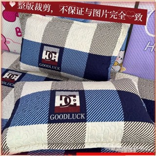 💎臺灣出貨💎 枕頭套四季通用耐臟傢用雙層鼕天加厚枕頭套裝一對 限時特賣A97-1-B