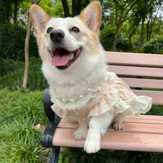 臺灣出貨寵物衣服 春夏 輕薄款 柯基 法鬥 衣服 中大型狗狗裙子 變身裝 可愛 蝴蝶結 公主風裙子