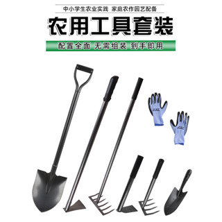 ⚡臺灣出貨⚡ 可開發票 家用種菜工具套裝 農用農具大全 學生農業 實踐勞動 鋤頭 鏟子 鐵鍬 耙子