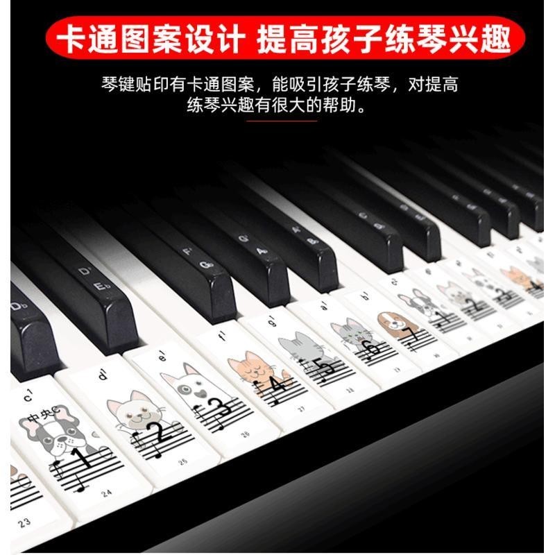 ‹鋼琴貼紙›現貨 88鍵61鍵54鍵兒童成人鋼琴電電子琴鍵盤 貼紙 透明貼五線譜簡譜自學