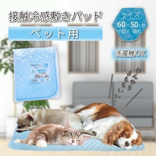 現貨 日本 涼感墊 寵物 睡墊 床墊 涼墊 寵物床 涼毯 透氣 降溫 舒適 狗 貓 60×50cm 好收納 富士通販