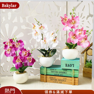 Bskylar 人造蝴蝶蘭花盆栽盆景帶盆假植物家庭臥室客廳裝飾
