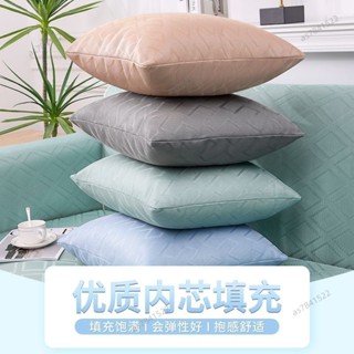 廠家直銷 冰絲抱枕 涼感抱枕 夏季沙發靠枕 抱枕套 沙發枕頭 45x45 沙發靠枕 沙發枕 沙發靠墊 夏季 可拆洗242