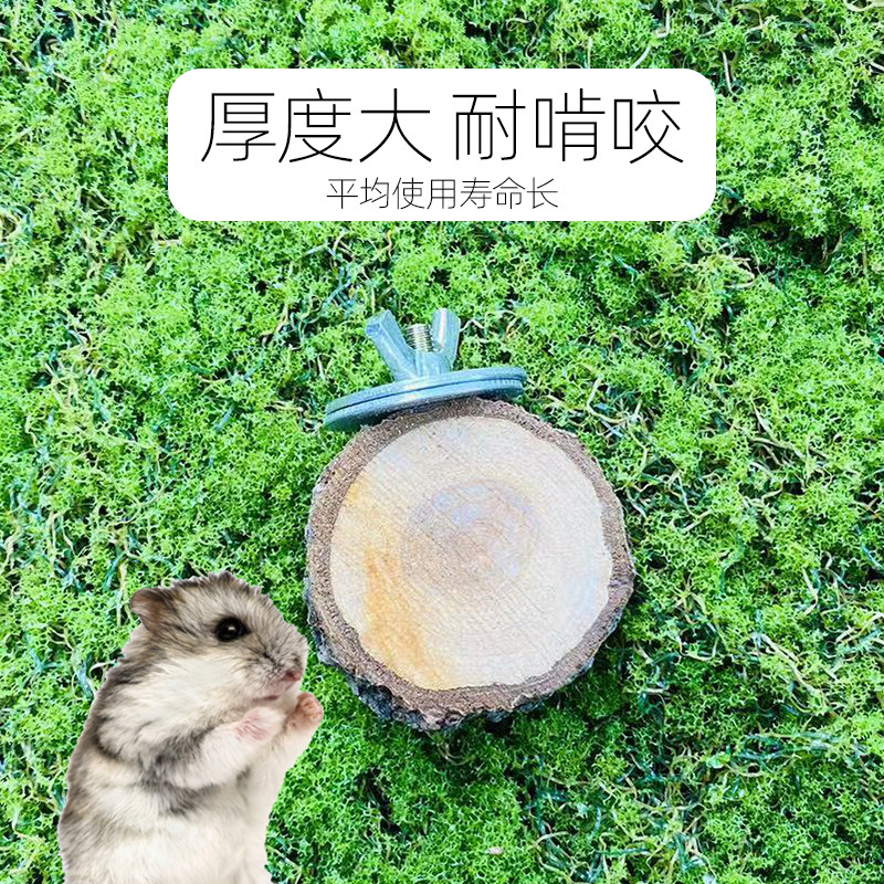 【小肆囍優選】松鼠龍貓跳板 踏板 跳台 站台 蘋果木原木樹洞 倉鼠鸚鵡站台 寵物籠