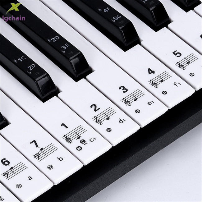 清倉折扣!! 可拆卸鋼琴貼紙 61/88 鍵透明鋼琴鍵盤五線譜電子鍵盤音符