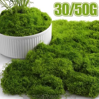 30/50g 綠色人造苔蘚 - 天然假植物草 - DIY 工藝品裝飾 - 可切割、柔軟、可拉伸 - 用於景觀盆栽花園 -