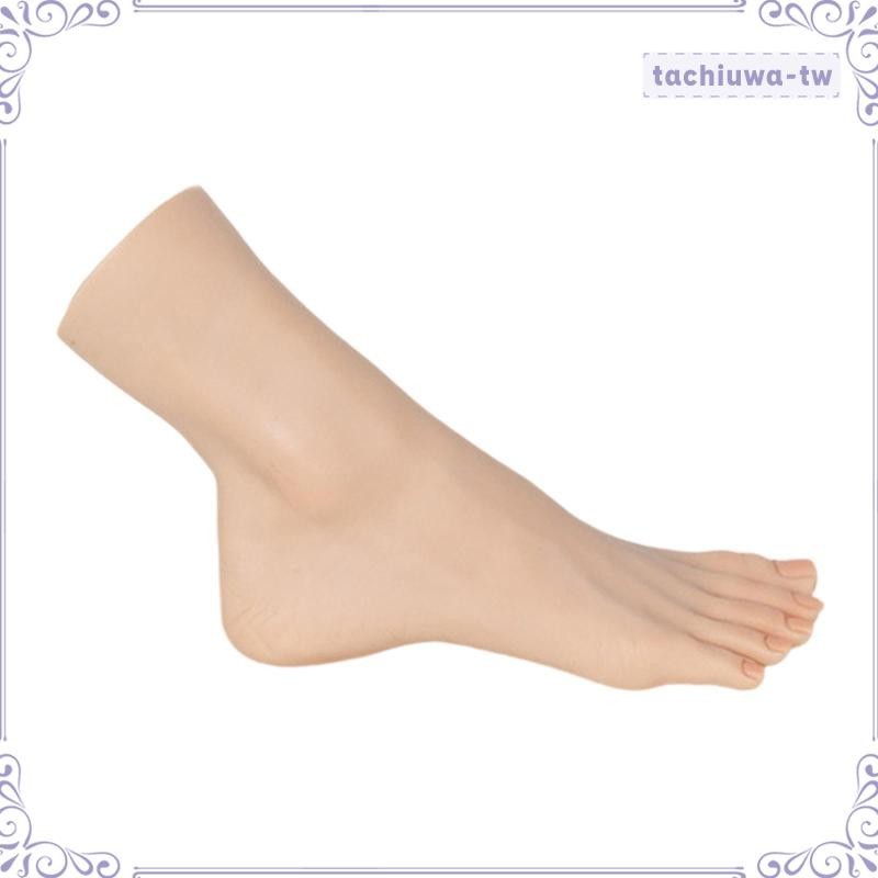 [TachiuwaTW] 女士模特腳展示腳模型鏈腳踝手鍊腳趾環