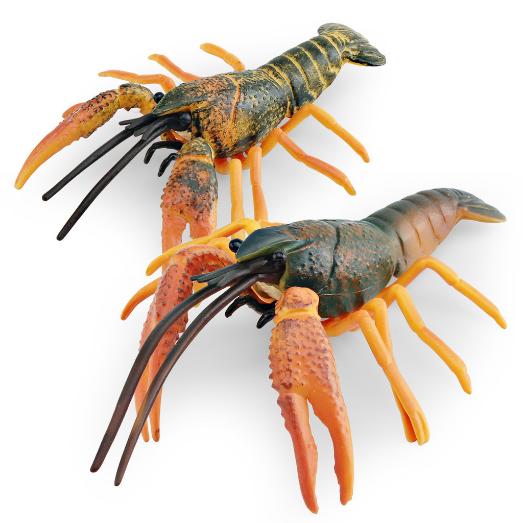 ✌限时熱銷✌兒童仿真海洋動物龍蝦模型淡水小龍蝦克氏原螯蝦裝飾擺件玩具