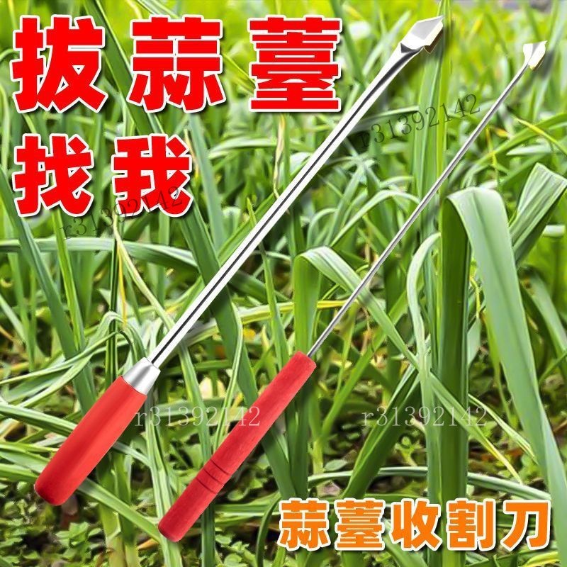 💯可開發票💯抽蒜苔剝蒜苔神器打蒜臺的工具劃蒜苔快速拔剔蒜苔提摘蒜苔收割刀💯