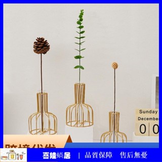 Ins風北歐透明玻璃花瓶擺件家居創意簡約客廳乾花插花器裝飾批發