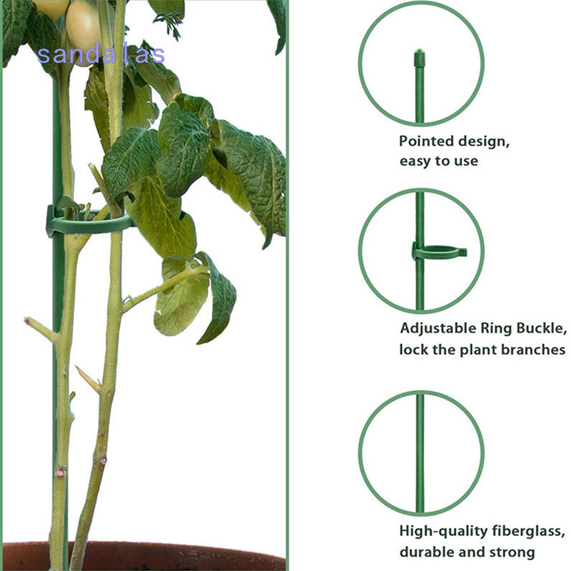 6 件裝植物支架木樁可重複使用的花卉蔬菜架棒花卉植物支架花園固定工具