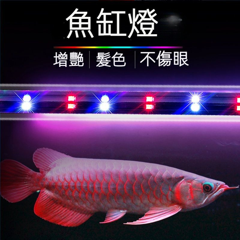 LED魚缸燈防水七彩開關變色水族箱照明燈潛水龍魚燈增豔超亮LED燈雙排燈珠太陽燈