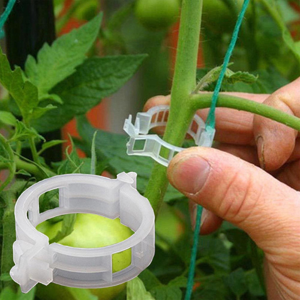 耐候植物滾輪鉤植物莖藤捆夾蔬菜番茄支架易於使用耐熱尼龍鐵花園 ​人造迷你麻繩格子