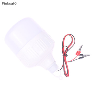 Pinkcat0 12V 40W 球泡燈帶線夾 Led 燈夜市高光 TW