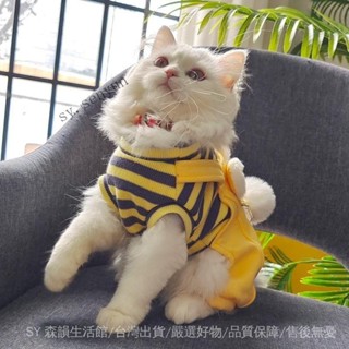✨免運特價#貓咪衣服鞦季防掉毛春季薄款寵物貓貓春夏可愛四腳幼貓佈偶貓小貓#SY 森韻
