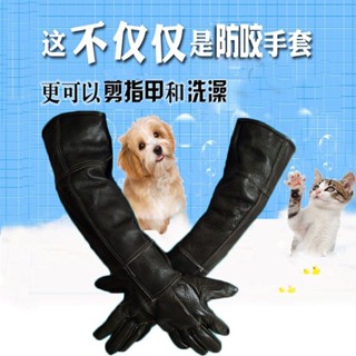 ✨臺灣熱賣 【埰用優質皮質】寵物防咬手套貓咪洗澡防抓牛皮防狗咬打針防刺加長訓犬鸚鵡鷹防水 kc