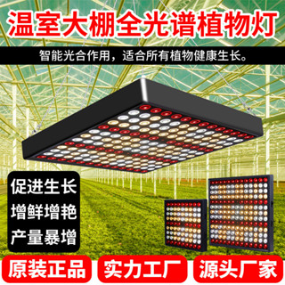 源頭工廠LED量子版植物生長燈多肉育苗種植燈全光譜防水植物燈
