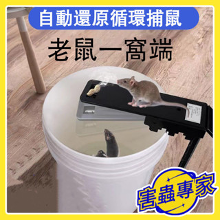 臺灣出貨🔥可開發票🔥蹺蹺板捕鼠器 抓老鼠神器 捕鼠籠 驅鼠器 滅鼠器 補鼠神器 陷阱老鼠籠 連續捕鼠 耗子籠 WT09