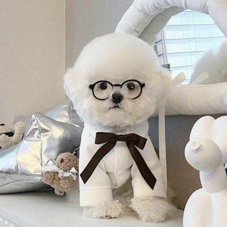 眼鏡 半框眼鏡 ins 鏡框 黑框眼鏡 寵物眼鏡ins韓國寵物犬墨鏡擺拍可愛貓狗眼鏡框配件裝飾拍照道具