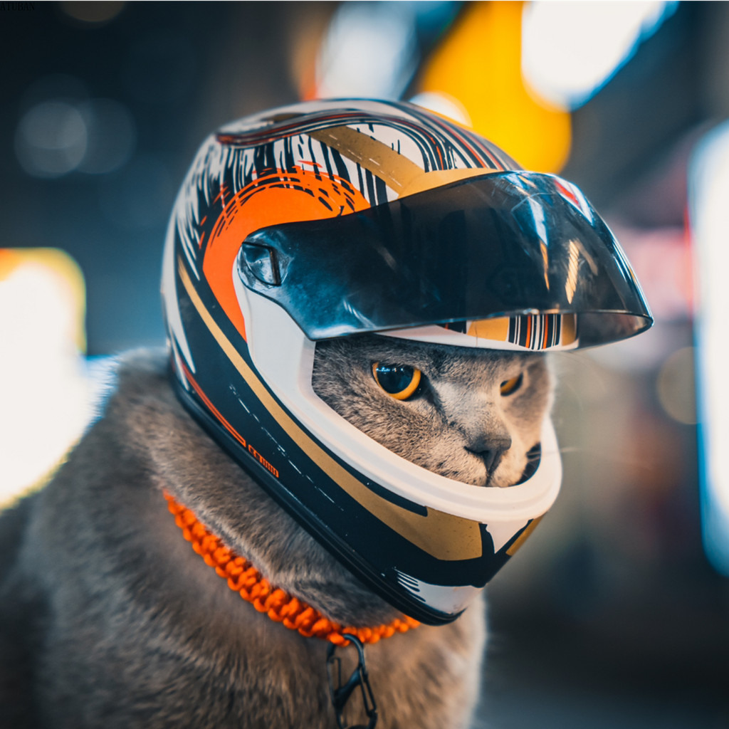Atuban DIY 寵物頭盔,貓頭盔,狗頭盔-戶外迷你頭部保護安全帽,寵物照片道具配件,迷你摩托車頭盔