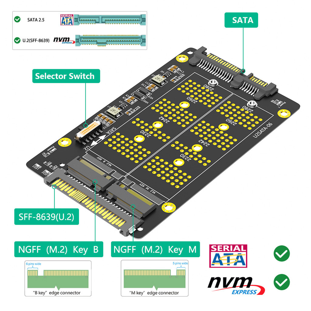 M2 SSD 適配器 M.2 用於 NVME M Key 到 U.2 SFF-8639 M.2 SATA B Key 到