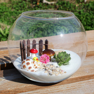 圓形玻璃魚缸 水培花瓶 多肉植物花瓶 微景觀苔蘚玻璃花瓶