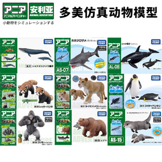 TOMY多美卡安利亞模擬動物模型浣熊火烈鳥大猩猩鯊魚藍鯨海洋玩具LYAJIE24.7.4